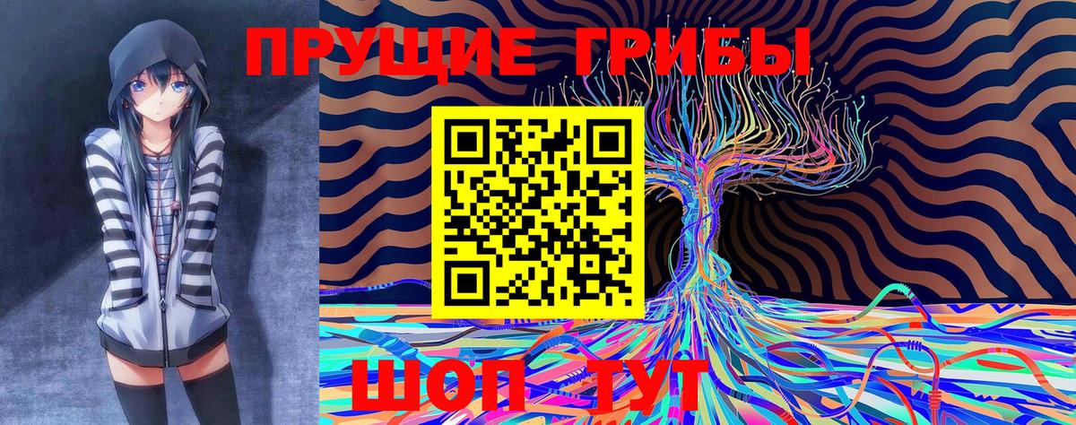 Галлюциногенные грибы Magic Shrooms Казань