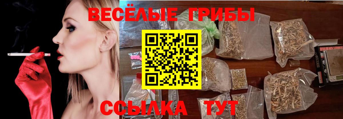 Казань  Галлюциногенные грибы мицелий  как найти   Вход с VPN 